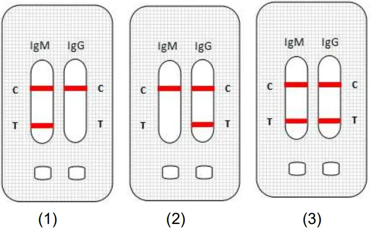 GENSURE Covid-19 IgG IgM Rapid Test - fig 2