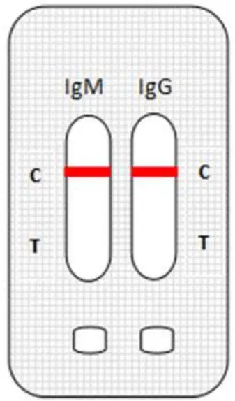 GENSURE Covid-19 IgG IgM Rapid Test - fig 3