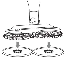 Shark Scrubbing & Sanitizing Steam Mop - THE PADS