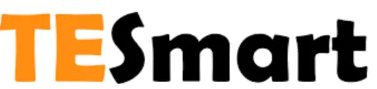 TESmart logo