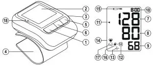 microlife BP W1 Basic Wrist Blood Pressure--Microlife BP W1 Basic