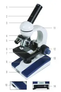 CELESTRON 44134 Biological Microscope
