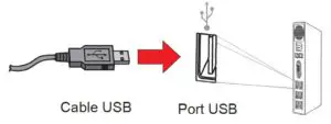 Plug the USB Cable of the cradle to the USB ports