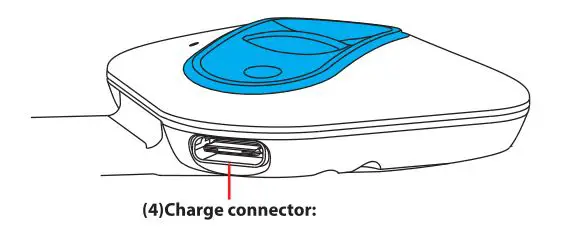 Eurocb SKI1M Skitooth Helmet - CHARGING