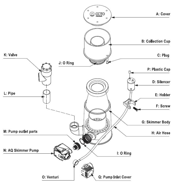 REEF OCTOPUS Classic-INT Series Classic Fig1