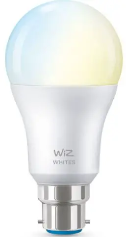 LEXI 10011 A19 Smart Color and Tunable White Bulb