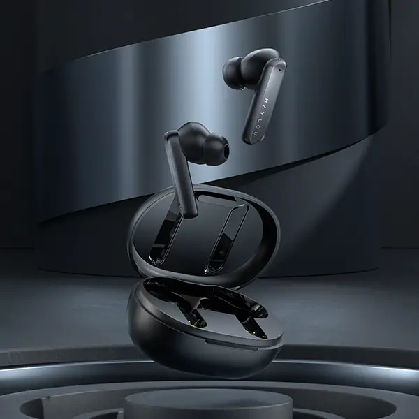 Haylou X1 Earbuds Instruction Manual Haylou X1 Earbuds Instruction Manual