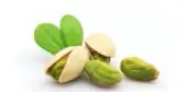 Pistachio