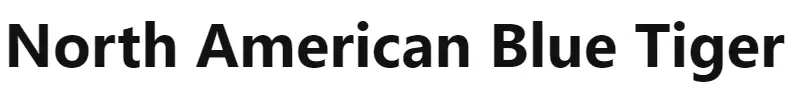 North-American-Blue-Tiger-logo