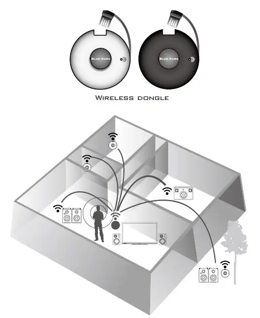 BLUE-AURA-WS10i-Wireless-Stereo-FIG-11