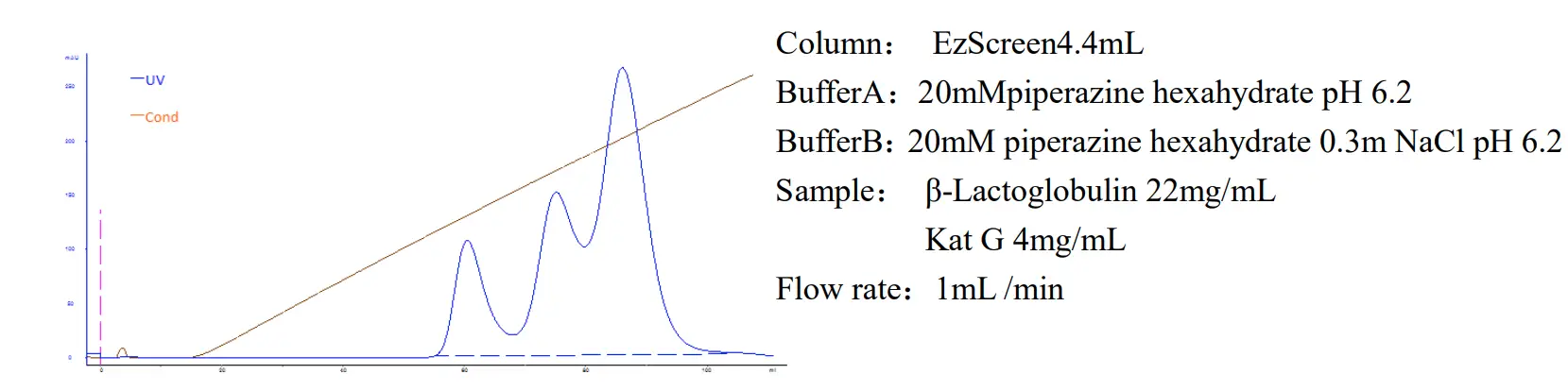 BESTCHROM Diamond Q Strong Anion Exchange Resin - fig 1