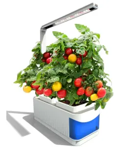 kogan CTPTPLHYDRB Self Watering Pot Plant with LED Groe Light