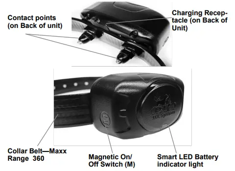DT Systems-D.O.G.-Director-700-Remote-E-Collar-Trainer-with-Smart-LED-IMG-11