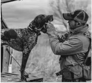 DT Systems-D.O.G.-Director-700-Remote-E-Collar-Trainer-with-Smart-LED-IMG-14