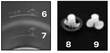 Inventum MK460 melkopschuimer-2
