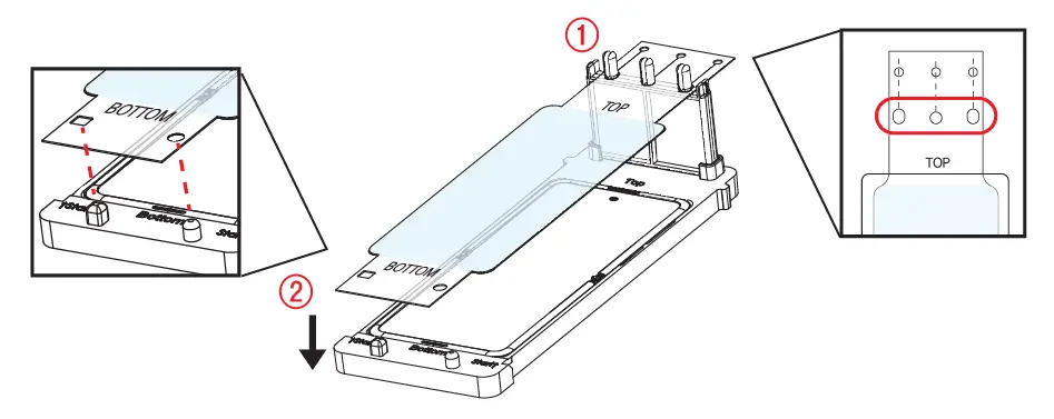 WHITESTONE-Dome-Silk-Ultra-Thin-Glass-8
