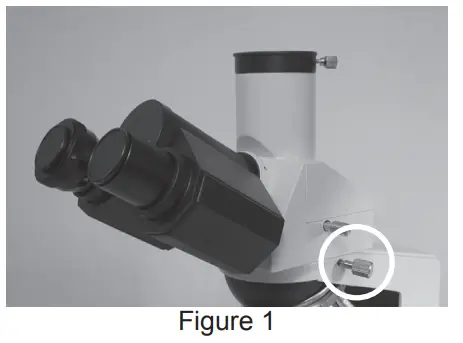 VEE GEE 1210CM VanGuard Compound Microscopes - figure1
