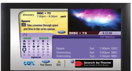 Using the On-Screen Program Guide 4
