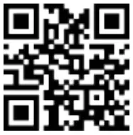 Furinno 221259APBK Turn N Tube 3 Tier End Table - QR Code