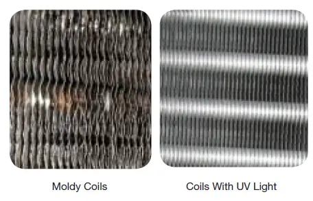 Second-Wind-NEMA-Series-UV-Air-Purifiers-2