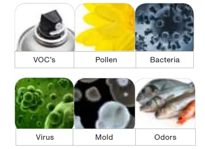 Second-Wind-NEMA-Series-UV-Air-Purifiers-3