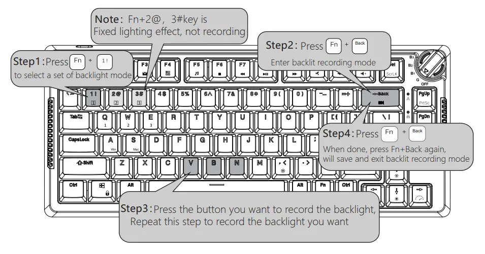 Backlight Recording Method
