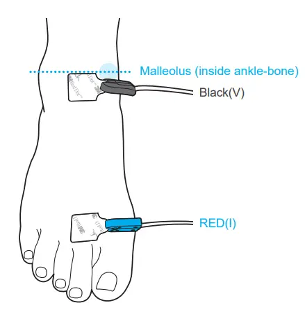 InBody S10 Body Water Analyzer-RED3