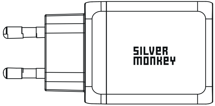SILVER MONKEY QC-GAN65 Charger GAN