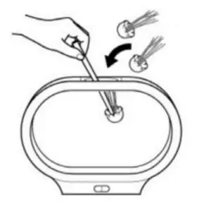 ADDING THE LIFELIKE JELLYFISH 2