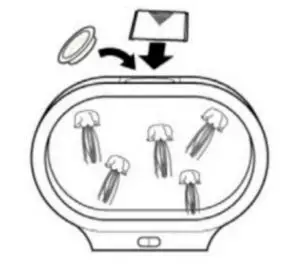 ADDING THE LIFELIKE JELLYFISH 3