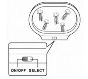 ADDING THE LIFELIKE JELLYFISH 4