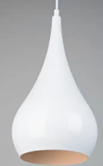 TRIO LIGHTING 6130001xx Ceiling Light product