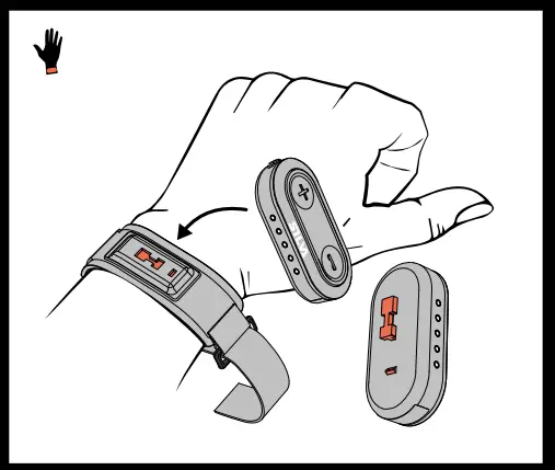 SILVA-SPECTRA-O-FIG-8