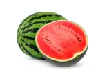 Water Melon