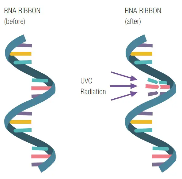 Spectral Power Distribution