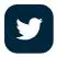 twitter icon
