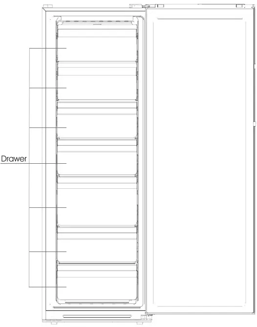 STRUCTURE AND FUNCTION