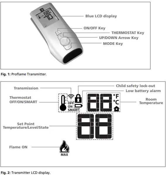 Sit-Proflame-GTM-System-FIG-1