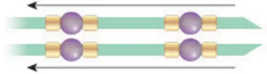 make it real 1207 Gold Link Suede Bracelets - fig 14