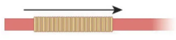make it real 1207 Gold Link Suede Bracelets - fig 68
