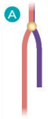 make it real 1207 Gold Link Suede Bracelets - fig 81