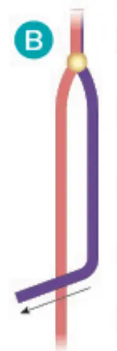 make it real 1207 Gold Link Suede Bracelets - fig 82