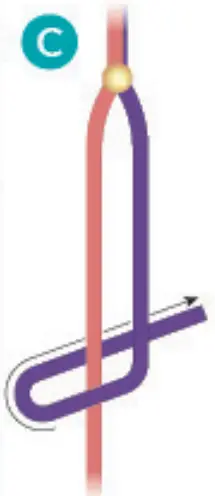 make it real 1207 Gold Link Suede Bracelets - fig 83