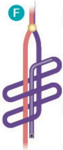 make it real 1207 Gold Link Suede Bracelets - fig 86