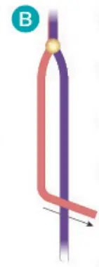 make it real 1207 Gold Link Suede Bracelets - fig 89