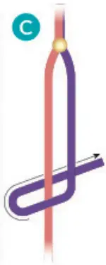 make it real 1207 Gold Link Suede Bracelets - fig 90