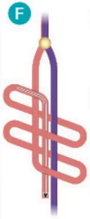 make it real 1207 Gold Link Suede Bracelets - fig 93