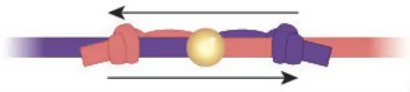 make it real 1207 Gold Link Suede Bracelets - fig 94