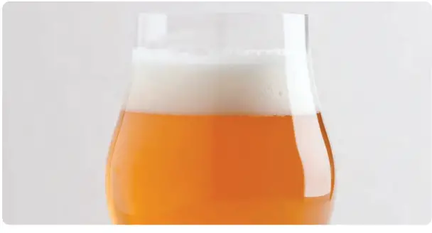 nutrichef Home Brewing Recipe-