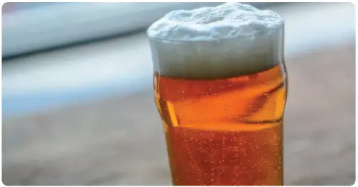 nutrichef Home Brewing Recipe-A light